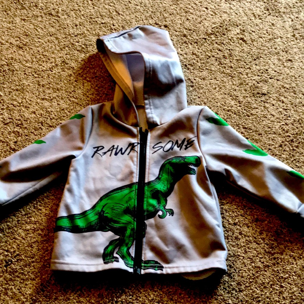 Youth 3-4 gray dinosaur Jurassic world park hoodie